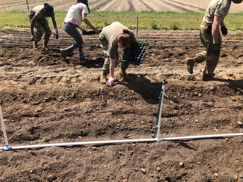 North Carolina Army National Guard Farming for a Good Cause