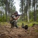 Task force Marines conduct IED training during certification exercise