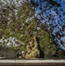 Soldier’s heart, lawyer’s mind