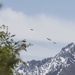 F-35s from Hill AFB perform flyover for COVID-19 frontline workers