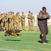 Military Working Dog Demonstrations