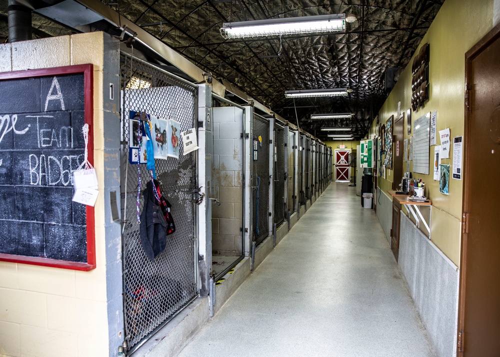 Base animal shelter continues essential operations despite COVID-19
