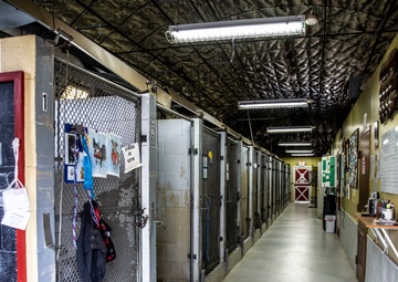 Base animal shelter continues essential operations despite COVID-19