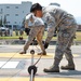 374th CES ensures runway safety