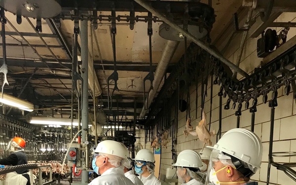 Training Before the Opening of a Testing Site