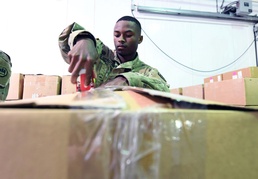 First Army Senior Guard Advisors pulling double duty to battle COVID-19