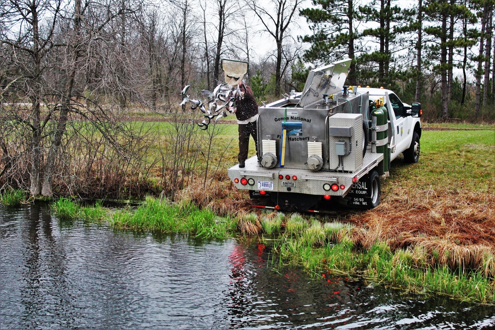 Thousands of rainbow trout stocked at Fort McCoy in time for 2020 fishing season
