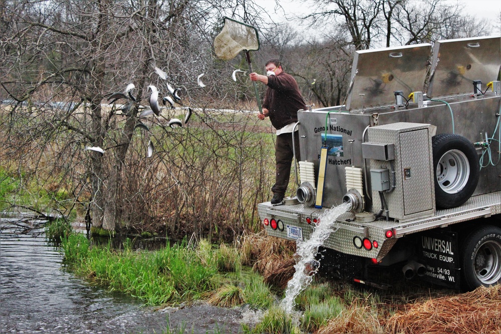 Thousands of rainbow trout stocked at Fort McCoy in time for 2020 fishing season