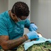 USNS Mercy Sailor Performs Dental Assessment