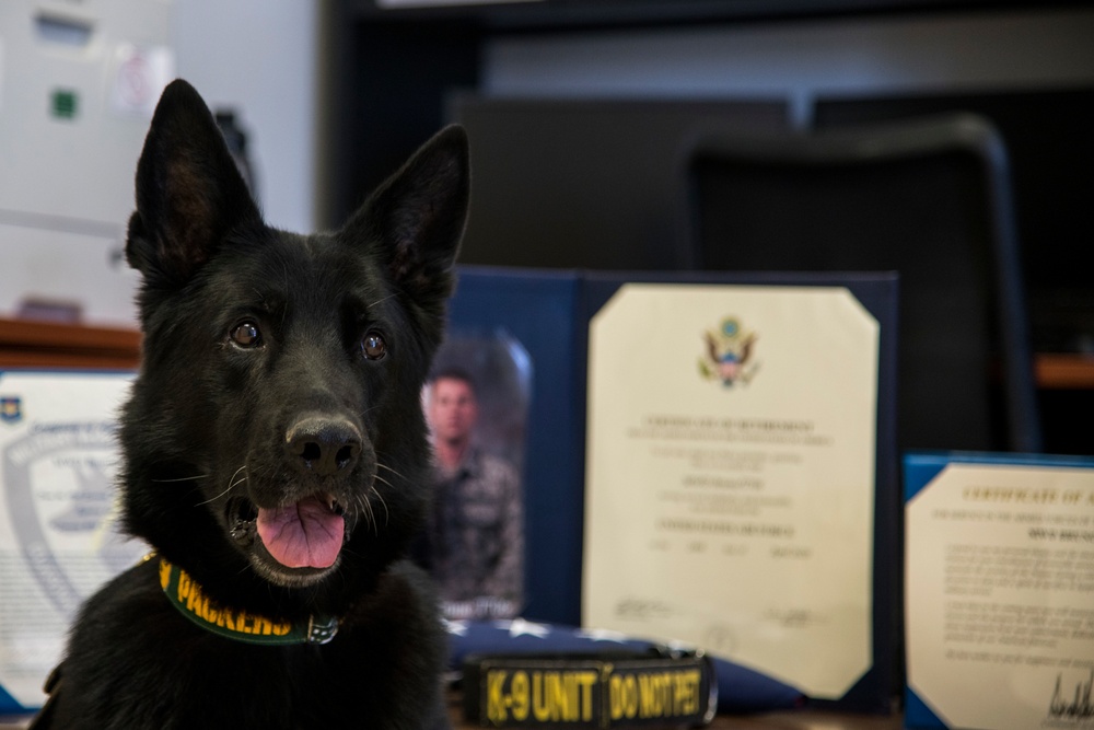 MWD Bruno is all smiles