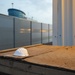 COVID-19 preventative actions and responses at Erbil Air Base