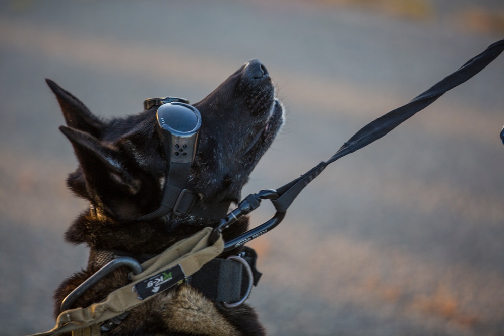 15th MEU Marines take to the skies