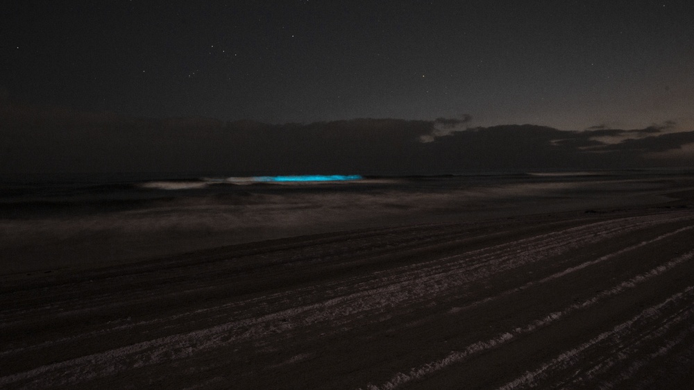 Bioluminescence lights up Camp Pendleton beaches