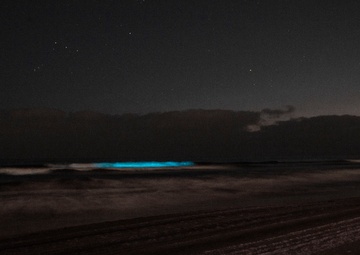 Bioluminescence lights up Camp Pendleton beaches