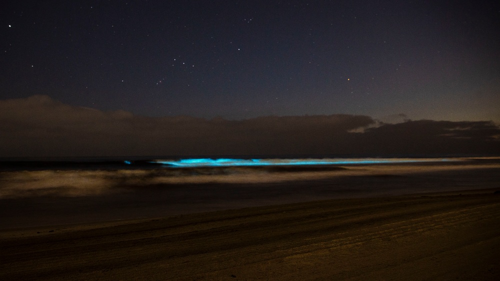 Bioluminescence lights up Camp Pendleton beaches