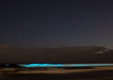 Bioluminescence lights up Camp Pendleton beaches