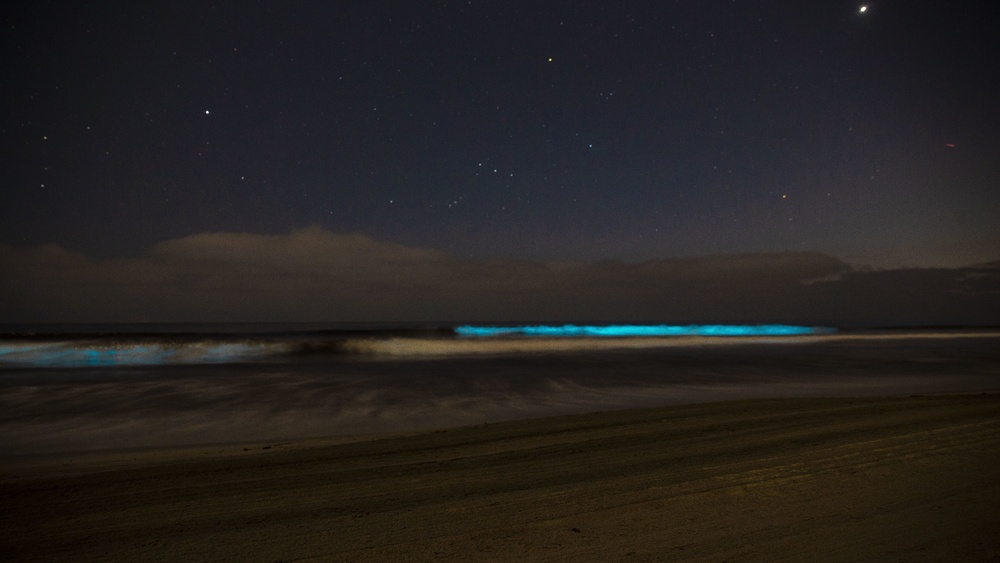 Bioluminescence lights up Camp Pendleton beaches