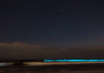 Bioluminescence lights up Camp Pendleton beaches