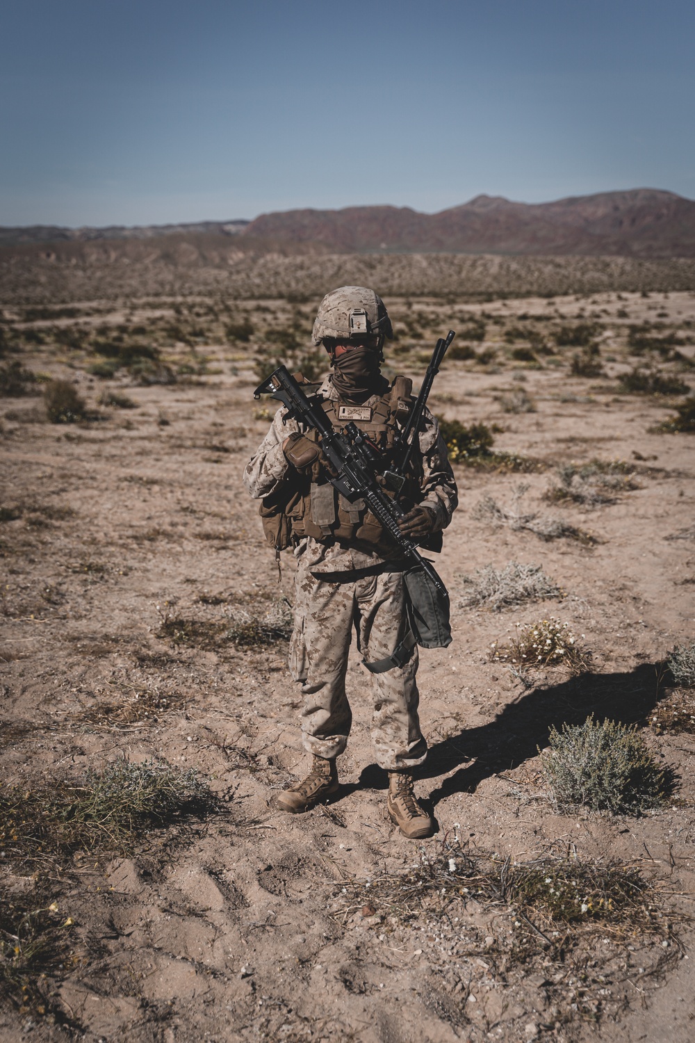 Portrait of a Marine