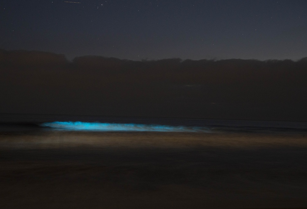 Bioluminescence lights up Camp Pendleton beaches