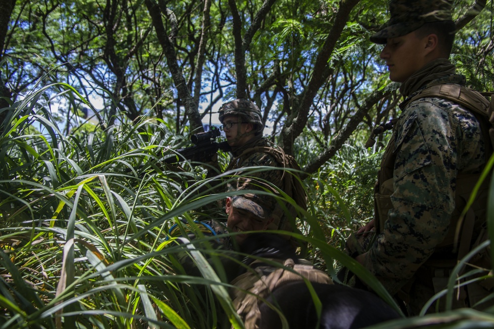 3/3, K9 Jungle and Urban patrolling, Warfare and Casualty training