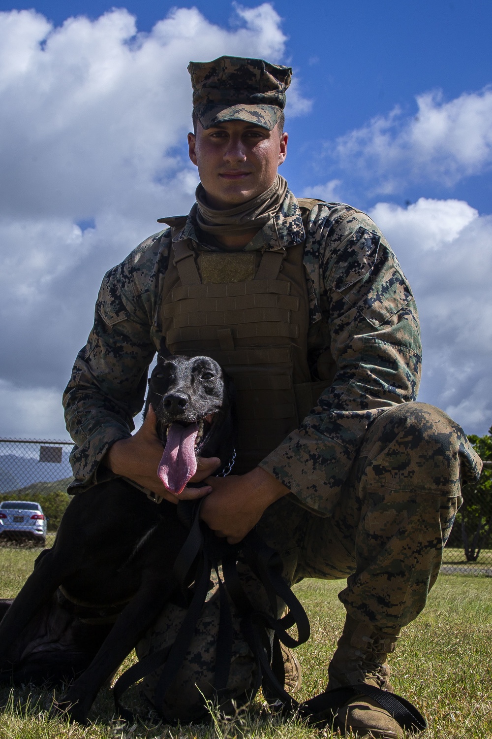 3/3, K9 Jungle and Urban patrolling, Warfare and Casualty training