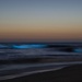 Bioluminescence lights up Camp Pendleton beaches