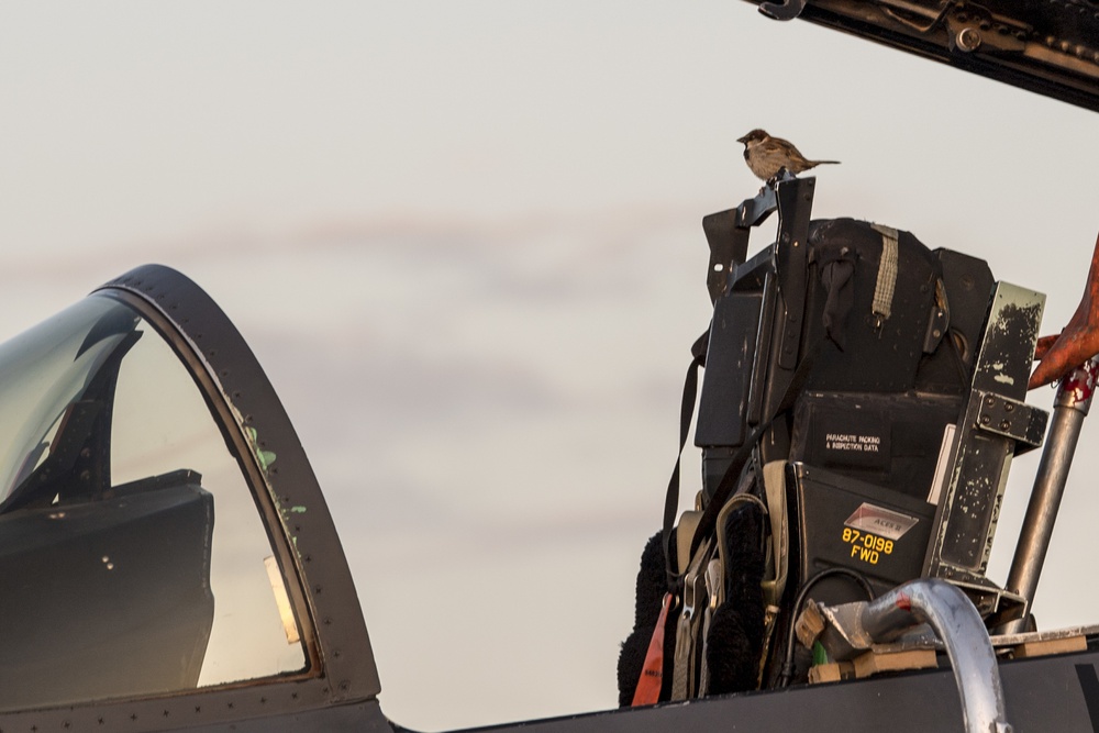 Flightline sunrise