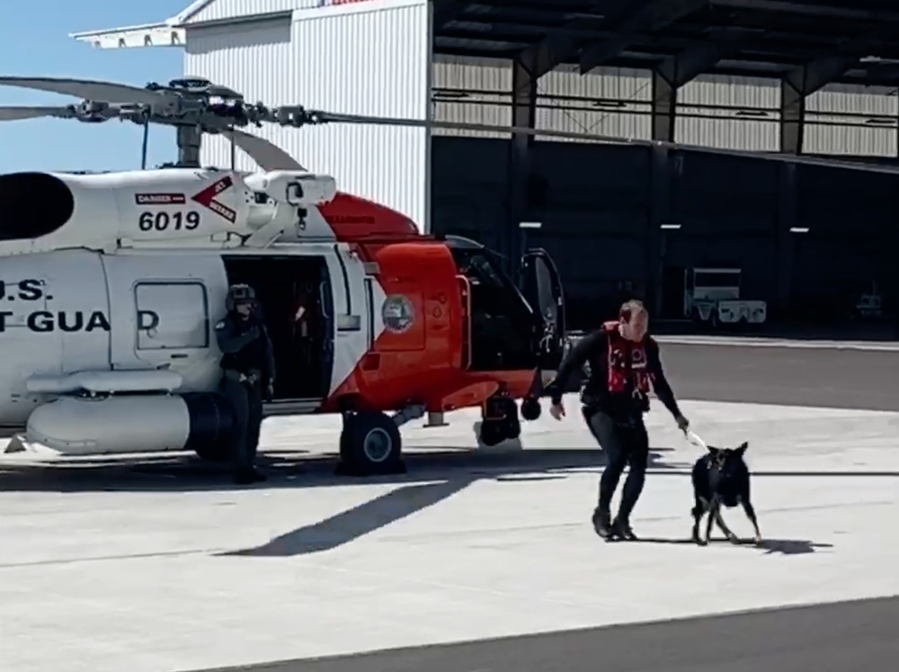Coast Guard rescues 3 people, dog offshore Apalachicola, Florida