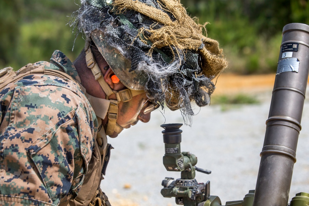 1/6 maintains knowledge with mortars