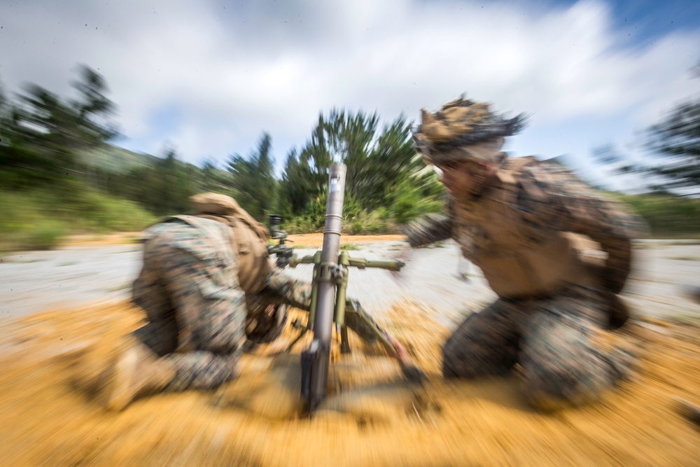 1/6 maintains knowledge with mortars
