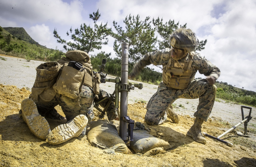 1/6 maintains knowledge with mortars