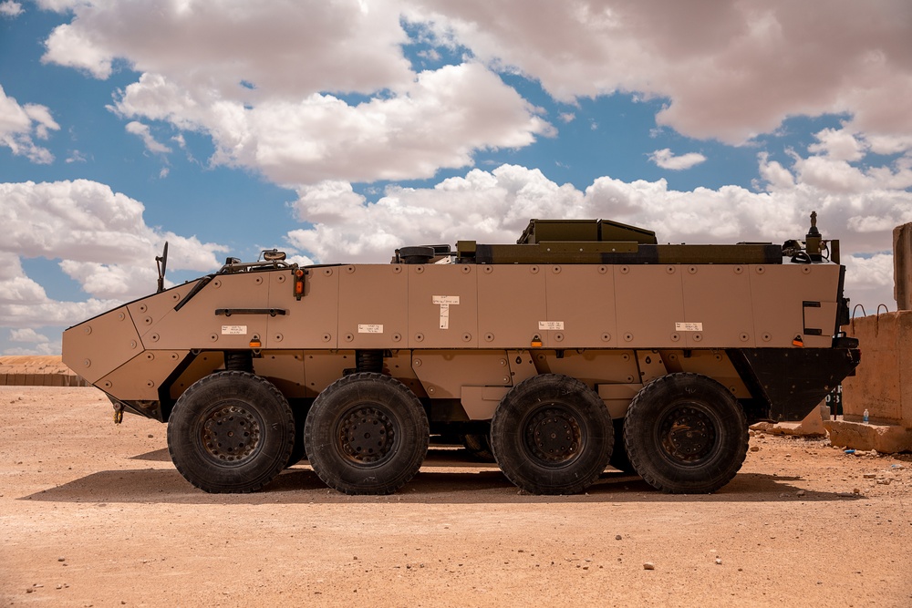 Danish Piranah 8x8 Armored Personnel Carrier parked at Al Asad Air Base