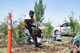 97 CES plants a greener future