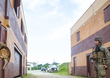 3rd Marine Division MOUT training