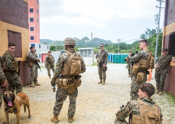 3rd Marine Division MOUT training