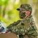 COVID-19 hot spot: Delaware National Guard supports coronavirus testing in Sussex County