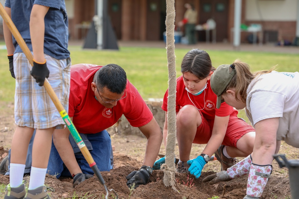 Boy Scout project towards Eagle Scout