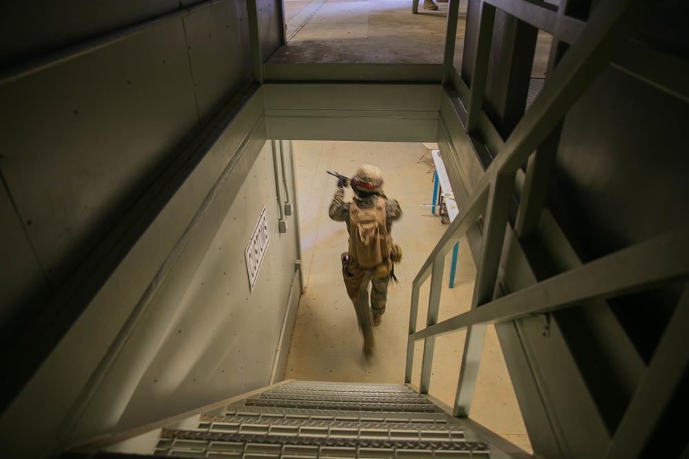 3rd Marine Division conduct MOUT training with Military Working Dogs