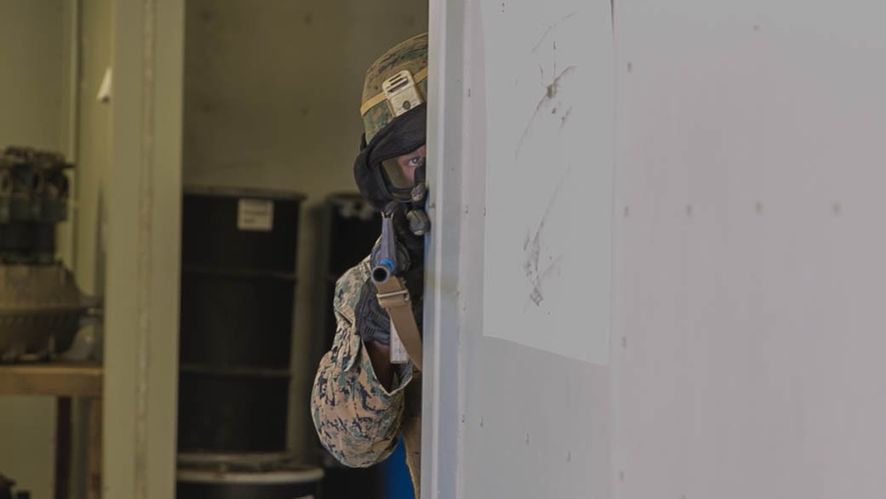 3rd Marine Division conduct MOUT training with Military Working Dogs