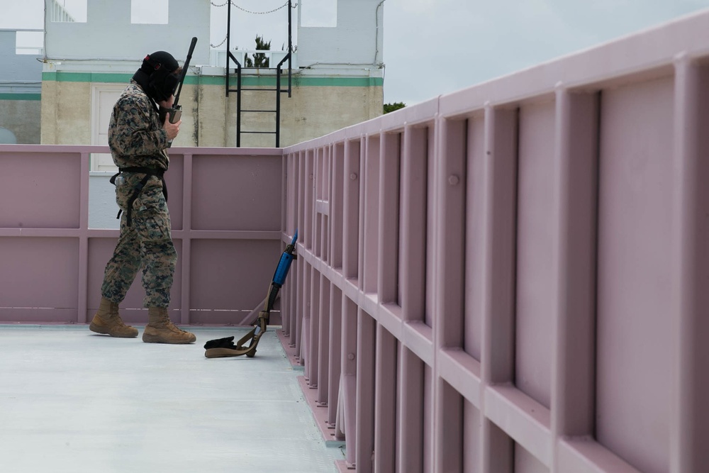 3rd Marine Division conduct MOUT training with Military Working Dogs