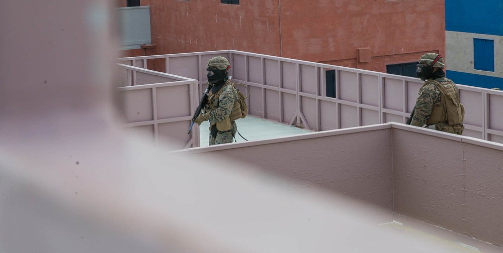 3rd Marine Division conduct MOUT training with Military Working Dogs