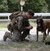 3rd Marine Division conduct MOUT training with Military Working Dogs