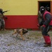 3rd Marine Division conduct MOUT training with Military Working Dogs