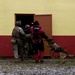 3rd Marine Division conduct MOUT training with Military Working Dogs