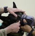 Providing First Aid to a Military Working Dog with a Heat Injury