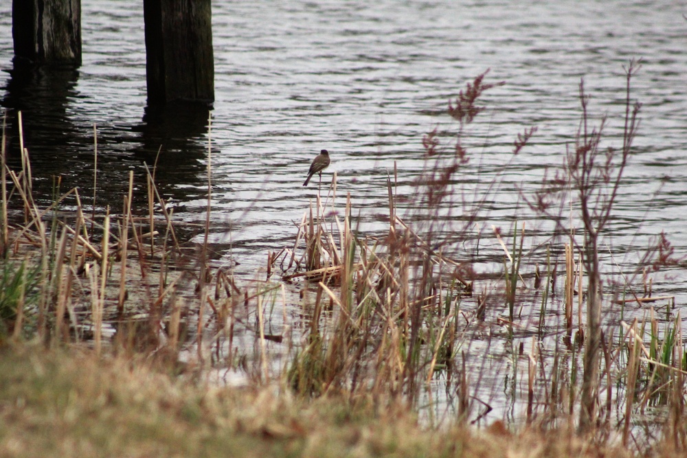 Fort McCoy's Stillwell Lake Recreation Area