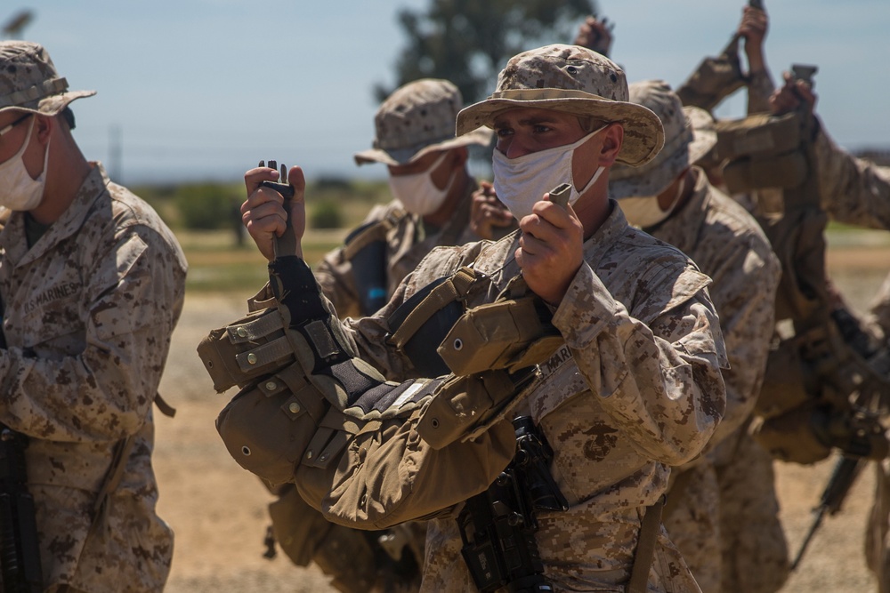 Lima Company Grass Week