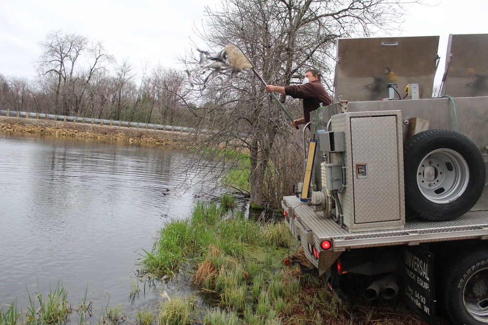 Thousands of rainbow trout stocked at Fort McCoy in time for 2020 fishing season