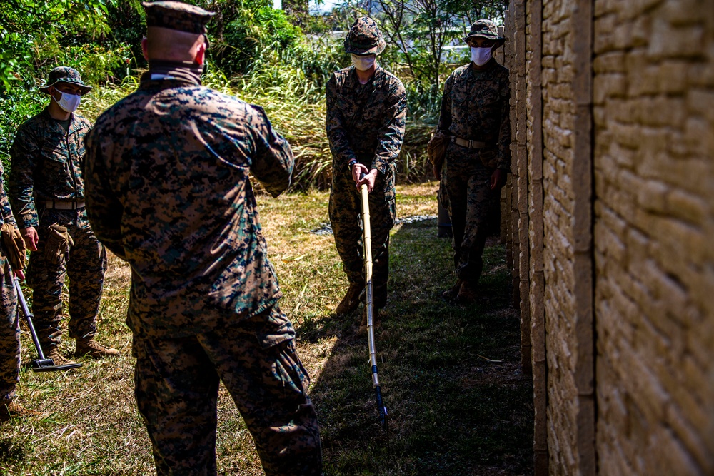 Scanning for IEDs